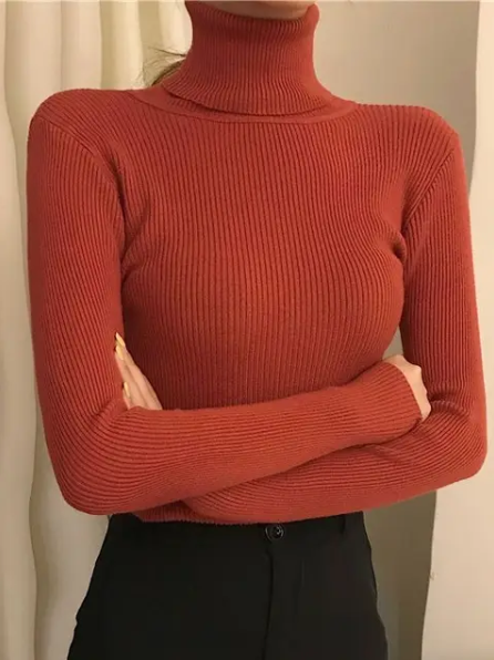 Helen Knitted Turtleneck Sweater